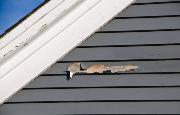 Best Hoarding Cleanup  in Rocky Point, NY